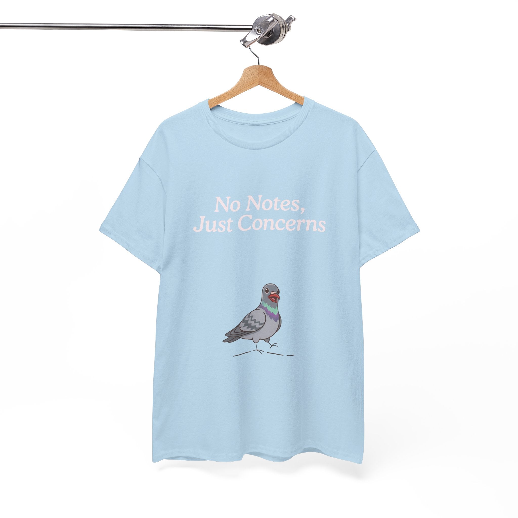 No Notes, Just Concerns Pigeon Tee