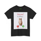 Meowl is calling Tee
