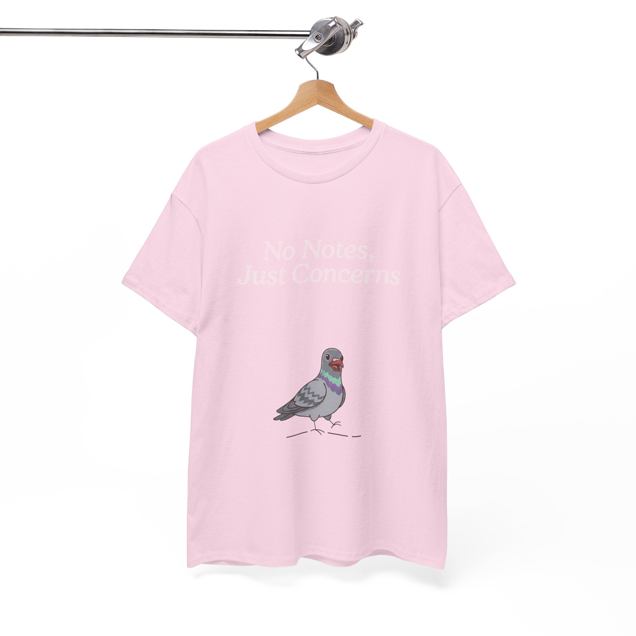No Notes, Just Concerns Pigeon Tee