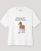 Classy & Mysterious Oversized Horse Tee